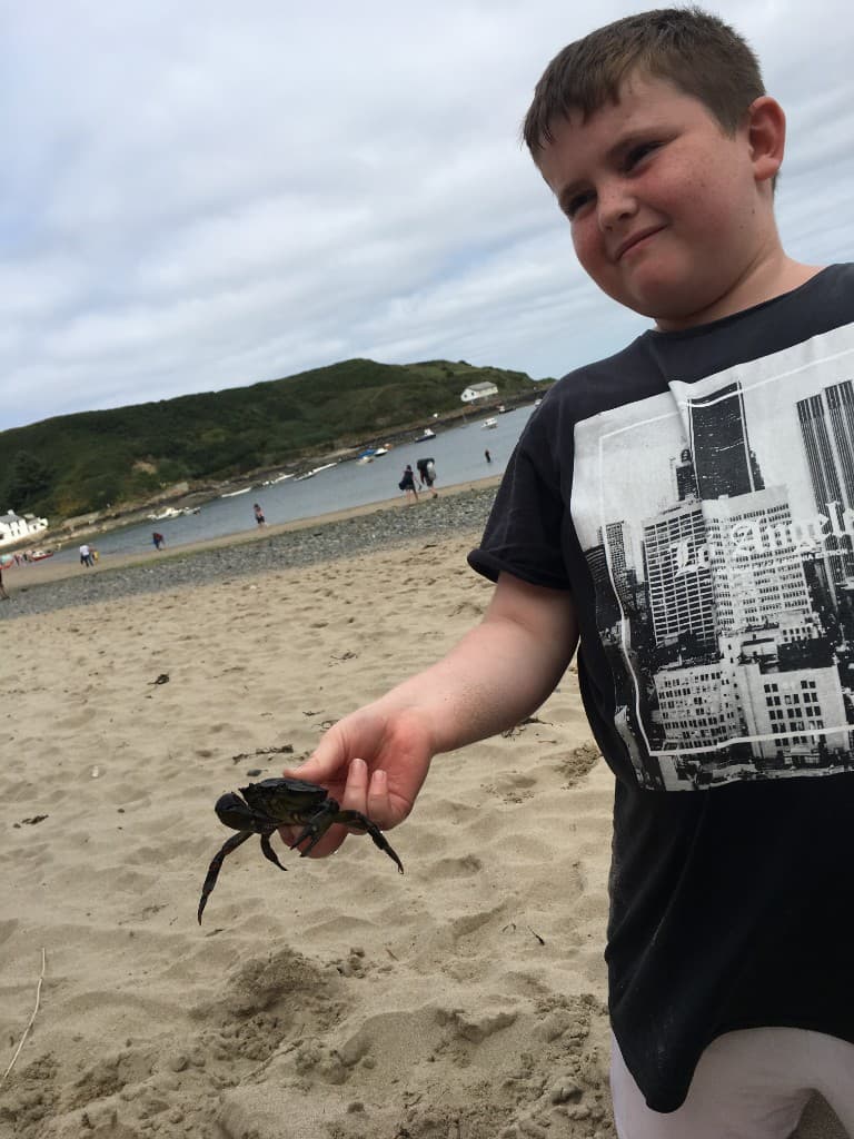 Young Beau on the beach holding a small crab